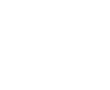 Republic Brands